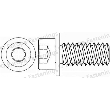 Sems Screw Socket Cap (Din 912) c/w Plain (Din 6902A) Washer