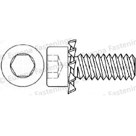 Sems Screw Socket Cap (Din 912) c/w External Shakeproof Washer