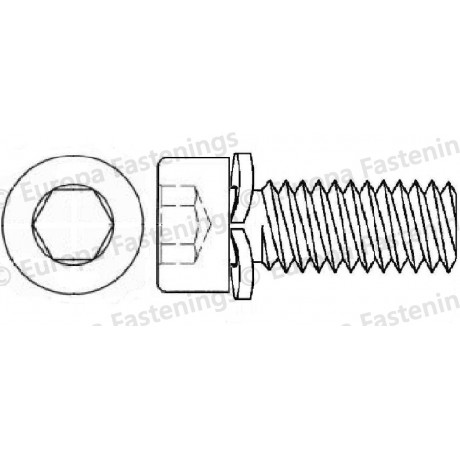 Sems Screw Socket Cap (Din 912) c/w Spring Ring (Din 6905) Washer