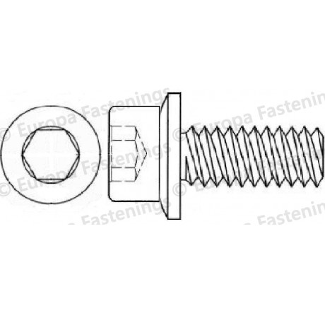 Sems Screw Socket Cap (Din 912) c/w Conical Spring (Din 6908) Washer