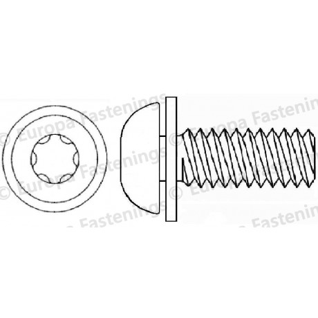 Sems Screw Button (Din 7380) 6-Lobe c/w Plain (Din 6902A) Washer