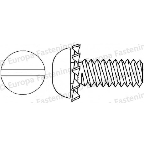 Sems Screw Button (Din 7380) Slotted c/w External Shakeproof Washer